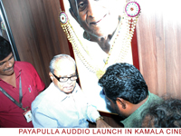 payapullaaudio